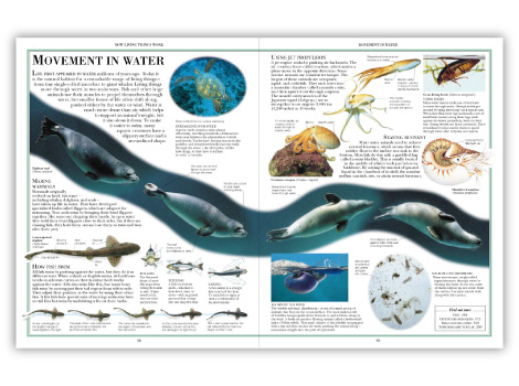 DK Nature Encyclopedia book